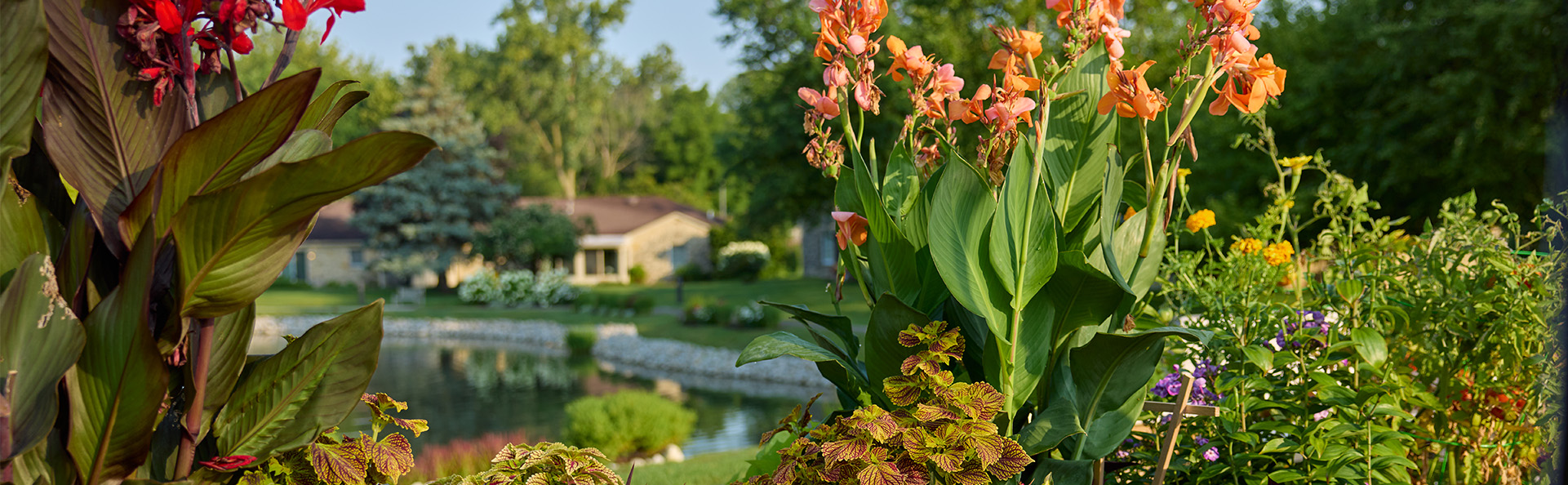 Beautiful garden with colorful flowers and a serene pond in the background.