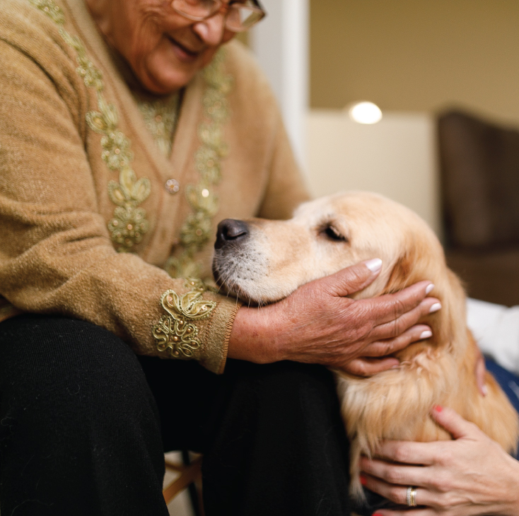 Senior woman petting a therapy dog